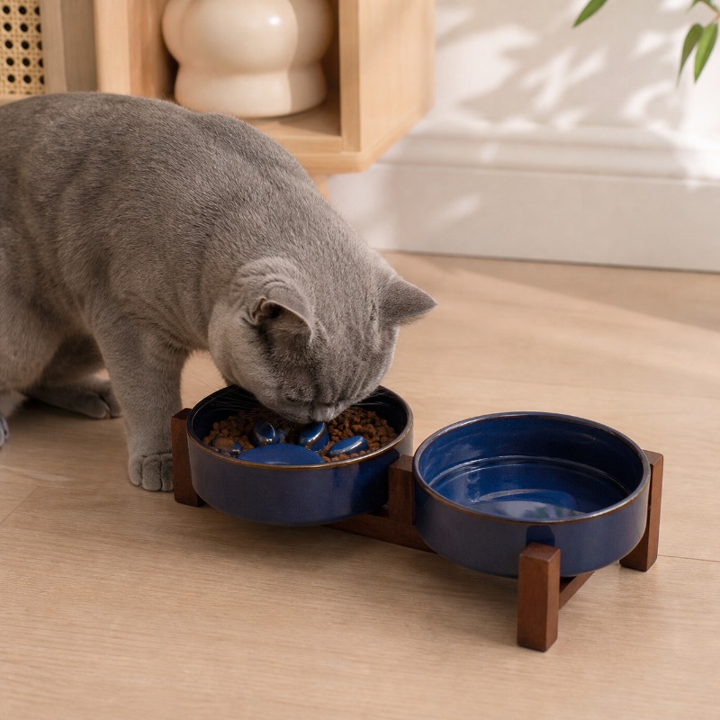 Ceramiczna miska dla zwierząt  – Royal Canin Food Medium recenzja i cena