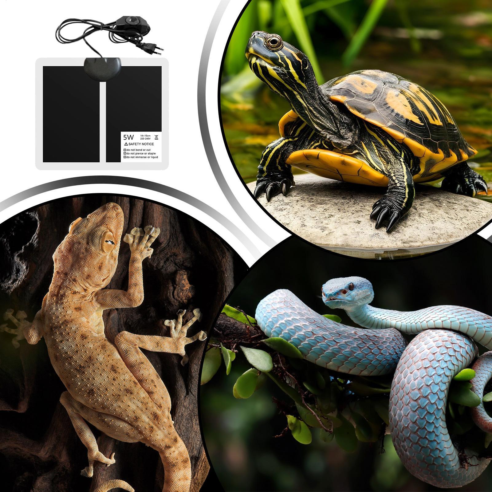 Mata grzewcza dla gadów 5W, pa – Reptile Heating Mat recenzja i cena