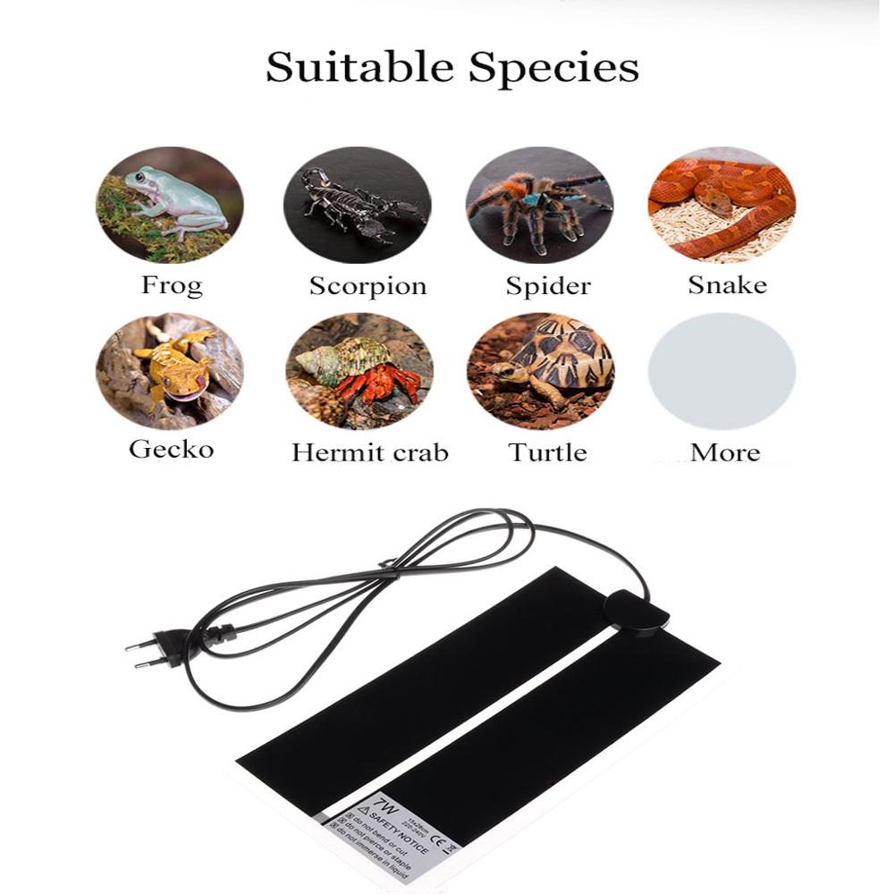 Mata grzewcza dla gadów AC110V – Reptile Heating Mat recenzja i cena